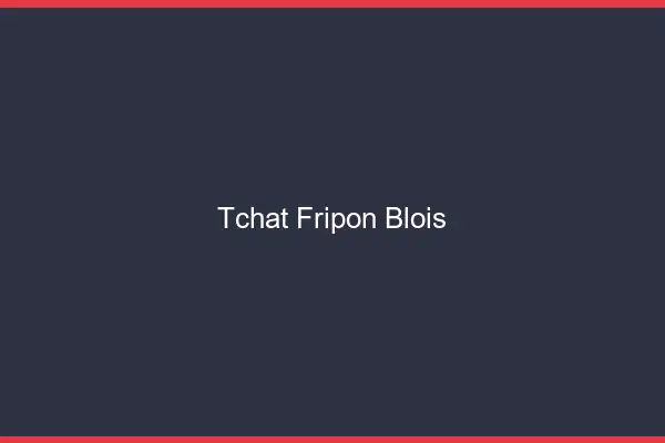 Tchat Fripon Blois