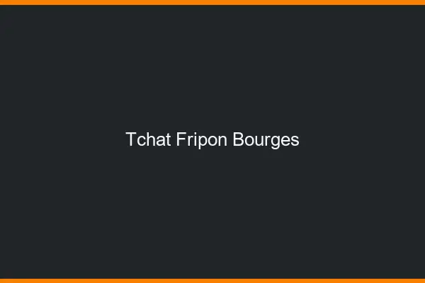 Tchat Fripon Bourges