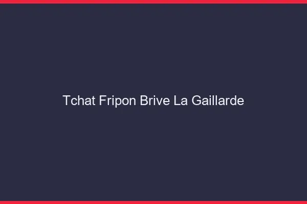 Tchat Fripon Brive-la-Gaillarde