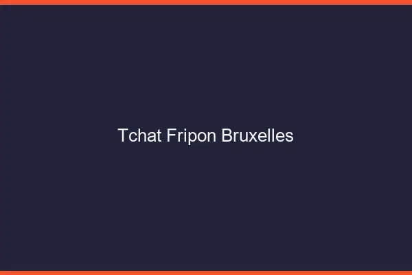 Tchat Fripon Bruxelles