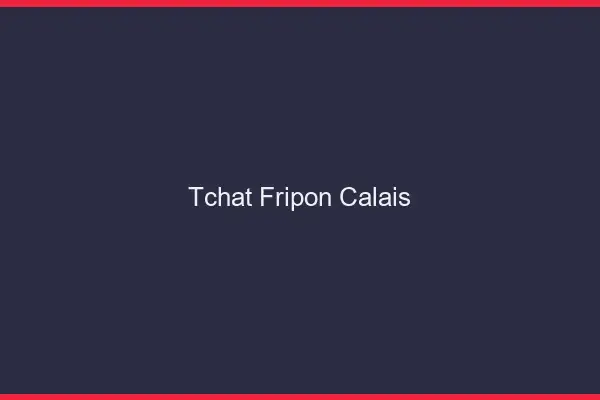 Tchat Fripon Calais