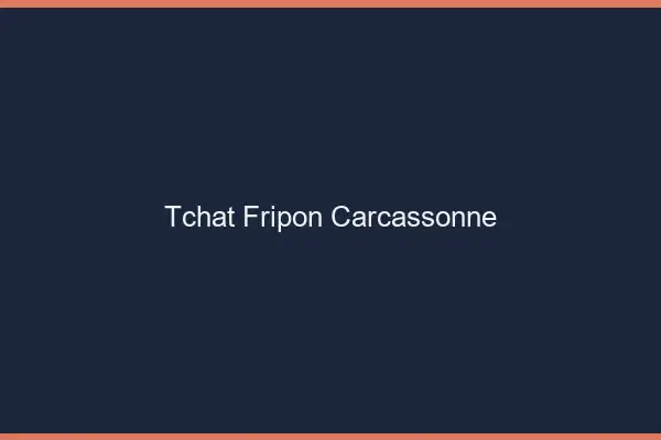 Tchat Fripon Carcassonne