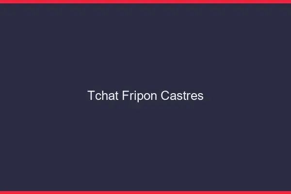 Tchat Fripon Castres