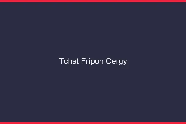 Tchat Fripon Cergy