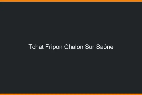 Tchat Fripon Chalon-sur-Saône