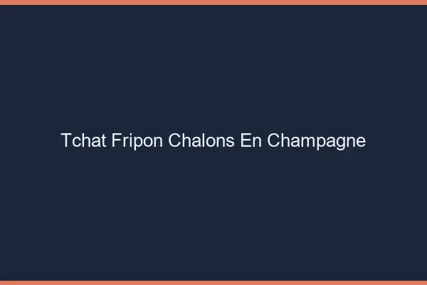Tchat Fripon Châlons-en-Champagne