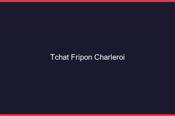 Tchat Fripon Charleroi