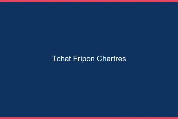 Tchat Fripon Chartres