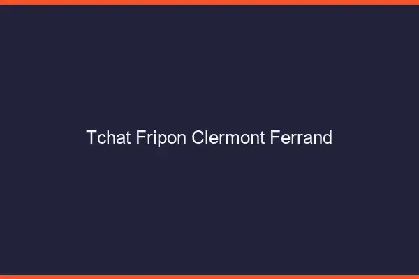 Tchat Fripon Clermont-Ferrand