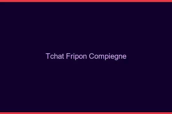 Tchat Fripon Compiègne