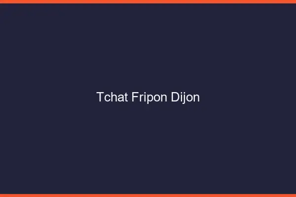 Tchat Fripon Dijon