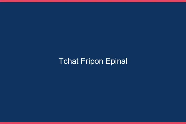 Tchat Fripon Épinal