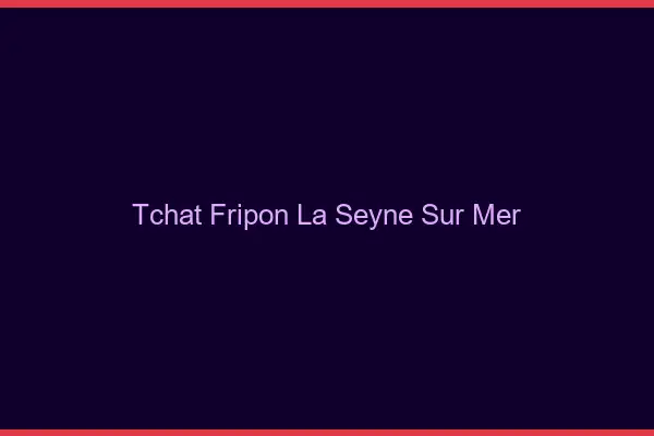 Tchat Fripon La Seyne-sur-Mer
