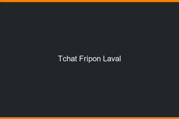 Tchat Fripon Laval