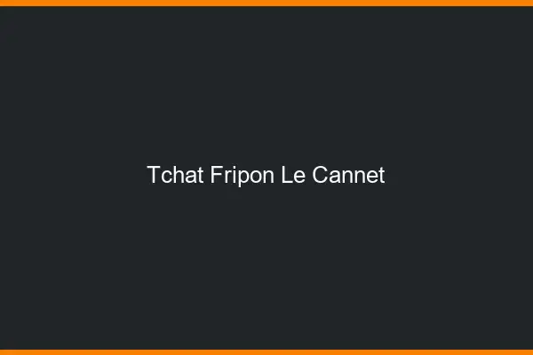 Tchat Fripon Le Cannet