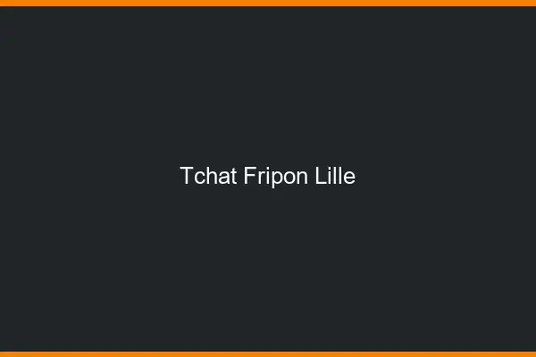 Tchat Fripon Lille