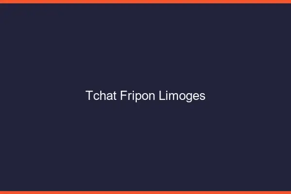 Tchat Fripon Limoges