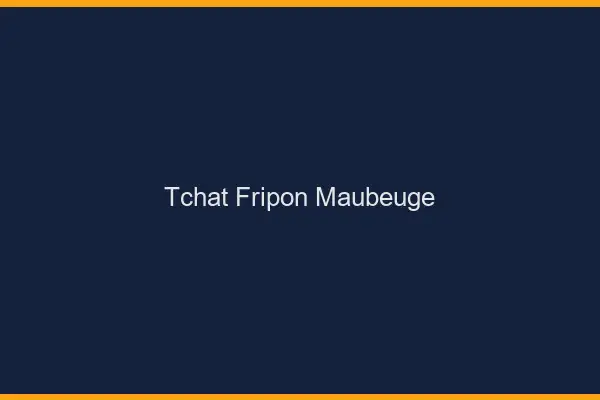 Tchat Fripon Maubeuge