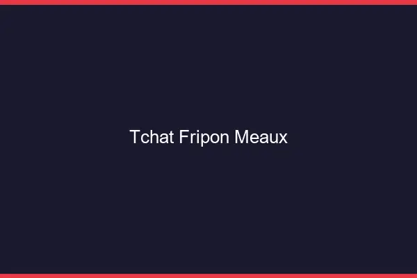 Tchat Fripon Meaux
