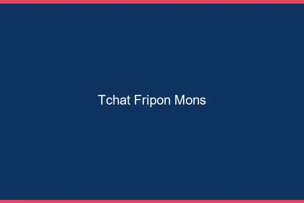 Tchat Fripon Mons