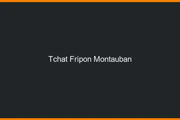 Tchat Fripon Montauban