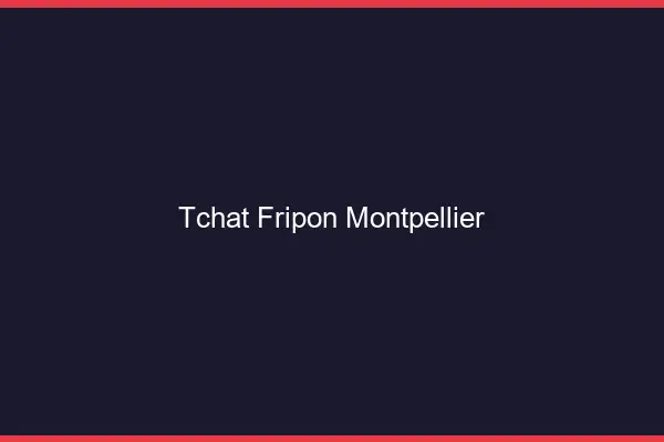 Tchat Fripon Montpellier