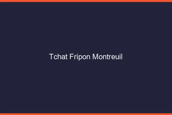 Tchat Fripon Montreuil