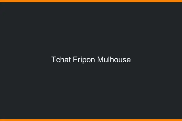 Tchat Fripon Mulhouse