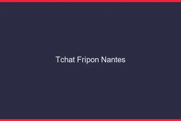 Tchat Fripon Nantes
