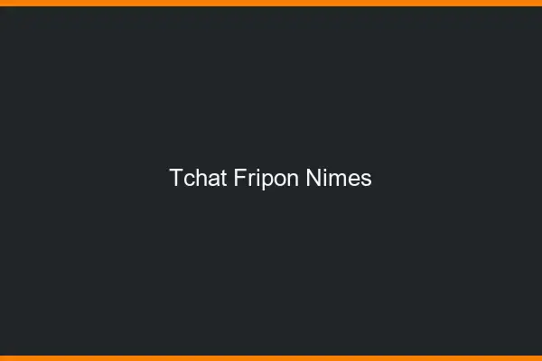 Tchat Fripon Nîmes