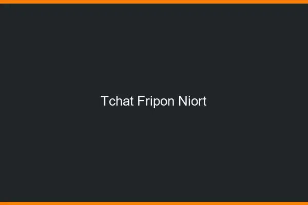 Tchat Fripon Niort