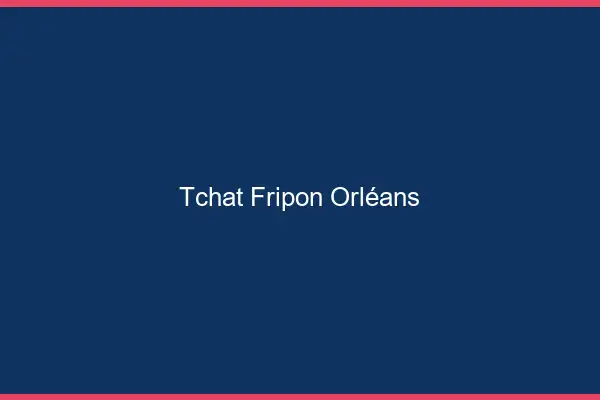 Tchat Fripon Orléans