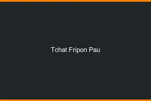Tchat Fripon Pau