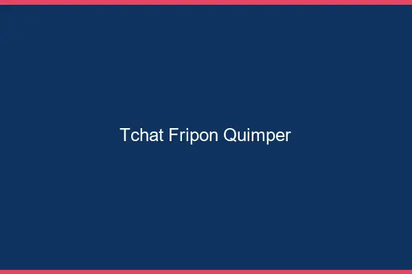 Tchat Fripon Quimper