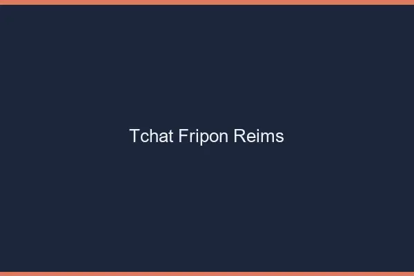 Tchat Fripon Reims