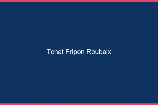 Tchat Fripon Roubaix