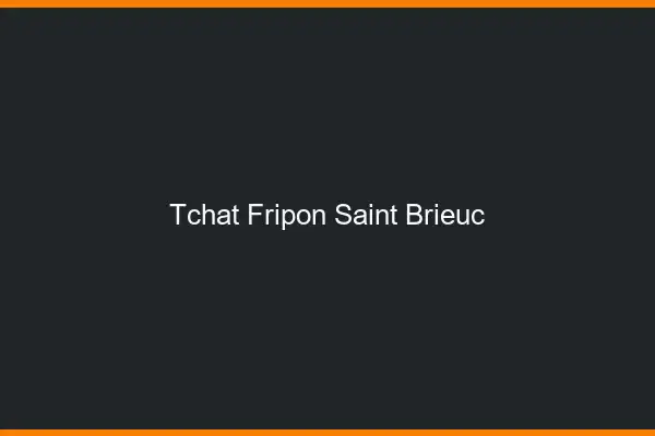 Tchat Fripon Saint-Brieuc