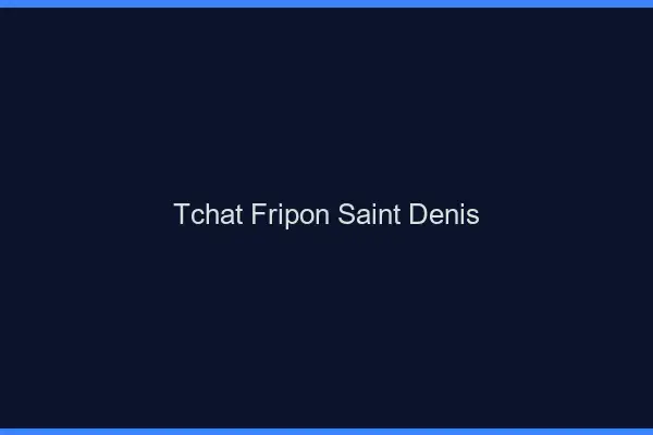 Tchat Fripon Saint-Denis