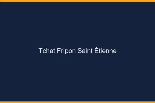 Tchat Fripon Saint-Étienne