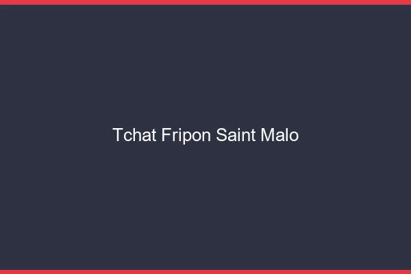 Tchat Fripon Saint-Malo
