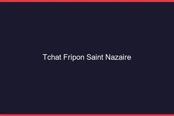 Tchat Fripon Saint-Nazaire