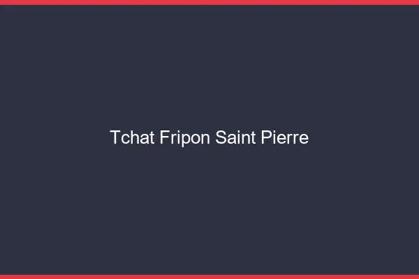 Tchat Fripon Saint-Pierre