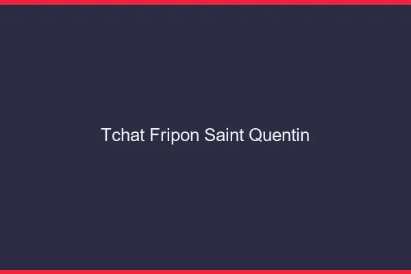 Tchat Fripon Saint-Quentin