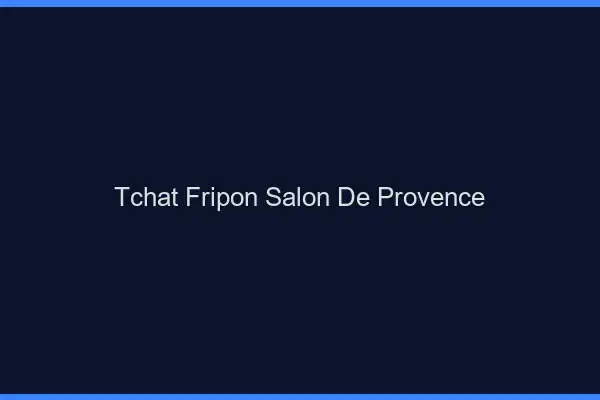 Tchat Fripon Salon-de-Provence