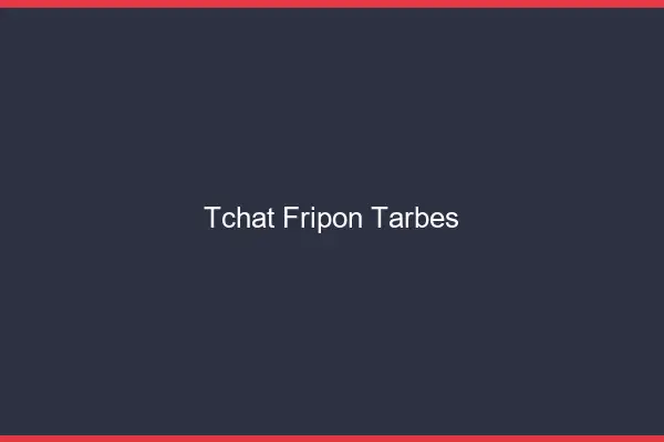Tchat Fripon Tarbes