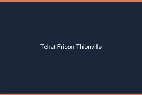 Tchat Fripon Thionville