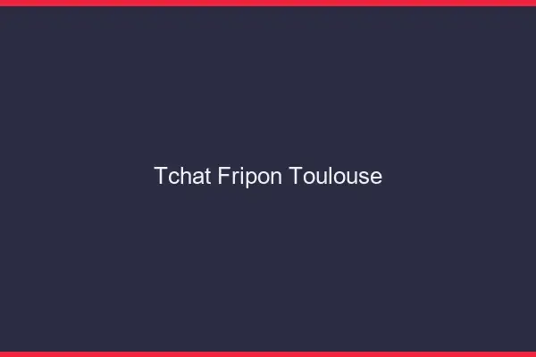Tchat Fripon Toulouse
