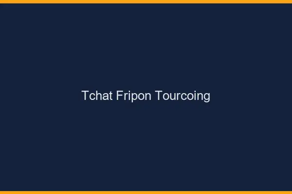 Tchat Fripon Tourcoing