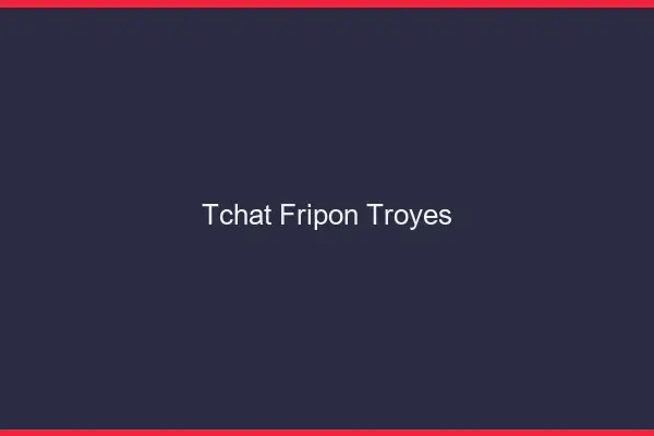 Tchat Fripon Troyes