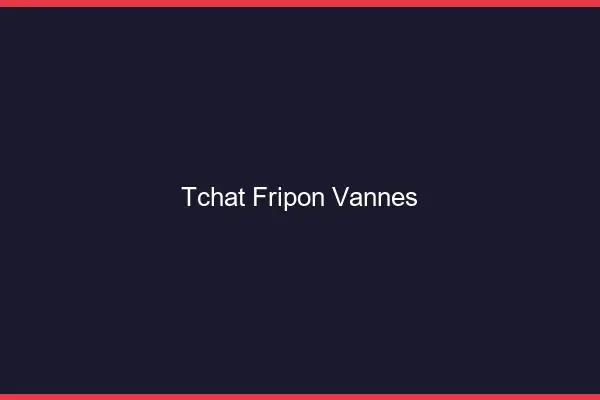 Tchat Fripon Vannes